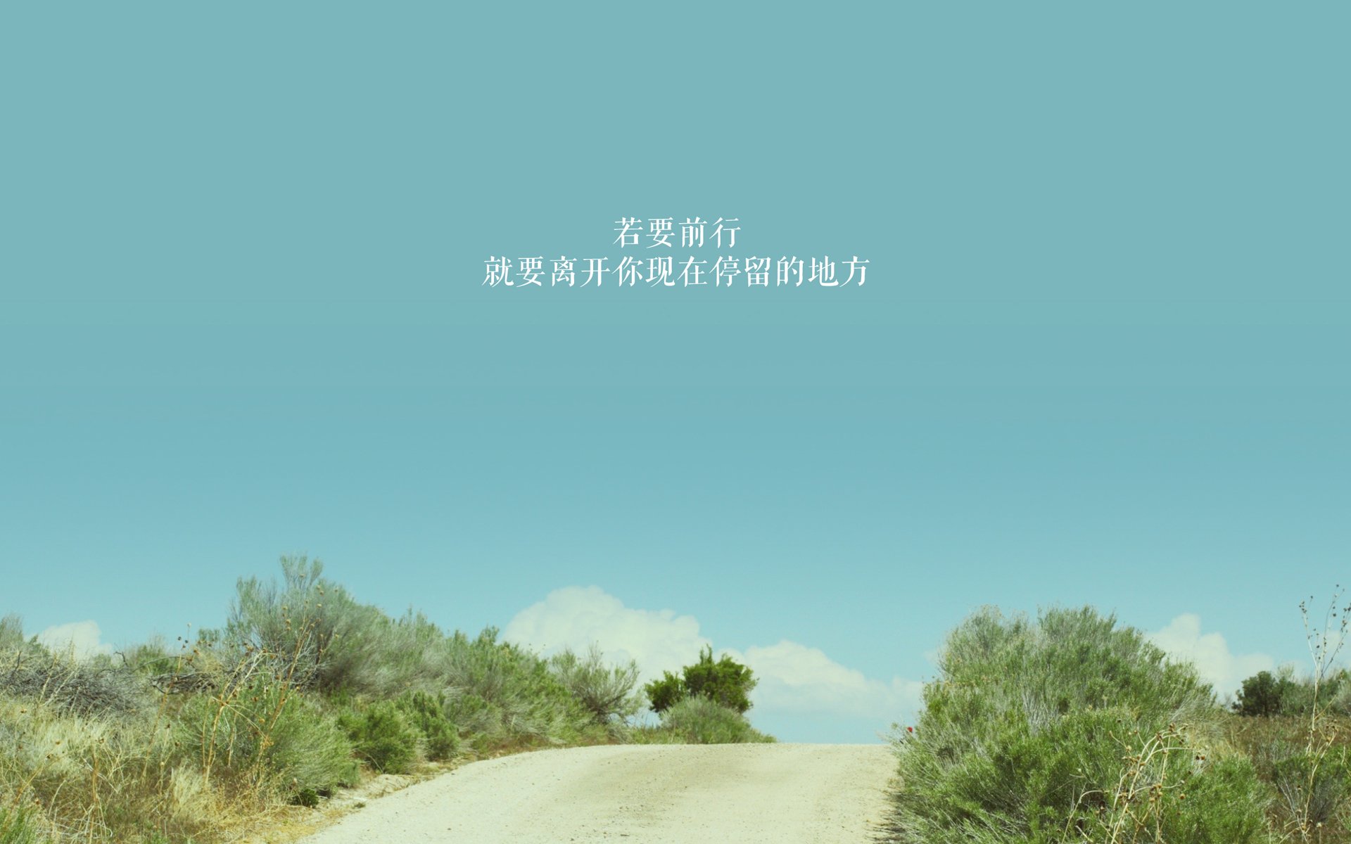 开云体育网址-_奇才队主场迎战对手,全队奋战到底_,奇才队成员