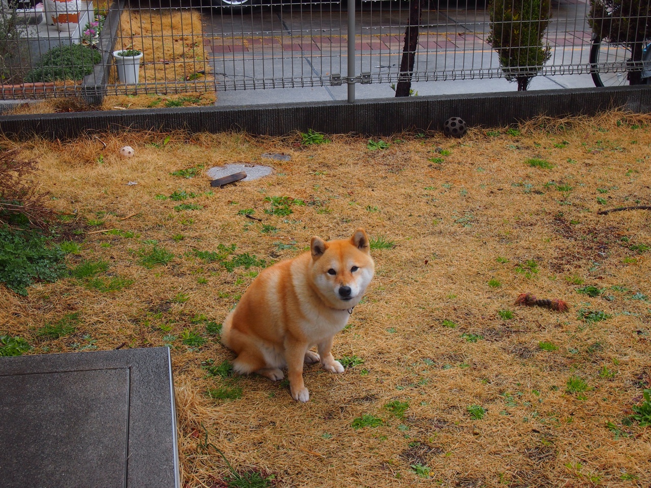 开云体育下载入口-_篮网队攻势凌厉,持续领跑联盟_,篮网队太强了