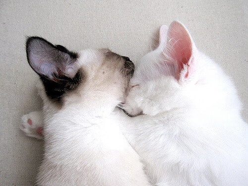 开云体育下载官网-【奥沙利文】职业生涯总结:罕见的罚分争议与战术升级,奥沙利文经典比赛视频