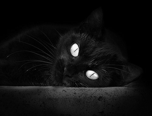 kaiyun app download-季后赛中，库里在最后两分钟多次投中决定比赛胜负的远三分！，库里季后赛12记三分