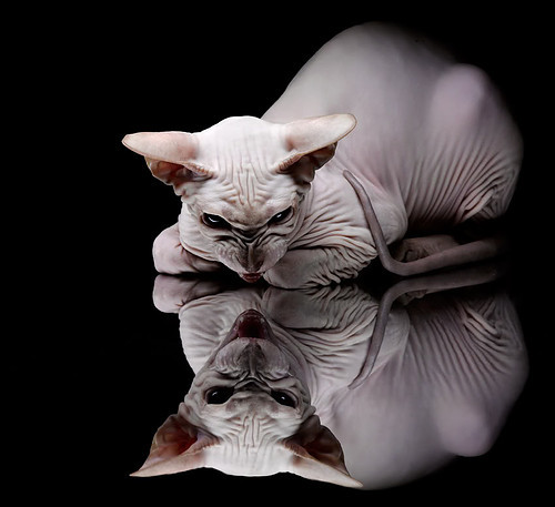 开云官网-青少年足球志愿者团队蓬勃发展,拉近青少年与绿茵之间的距离