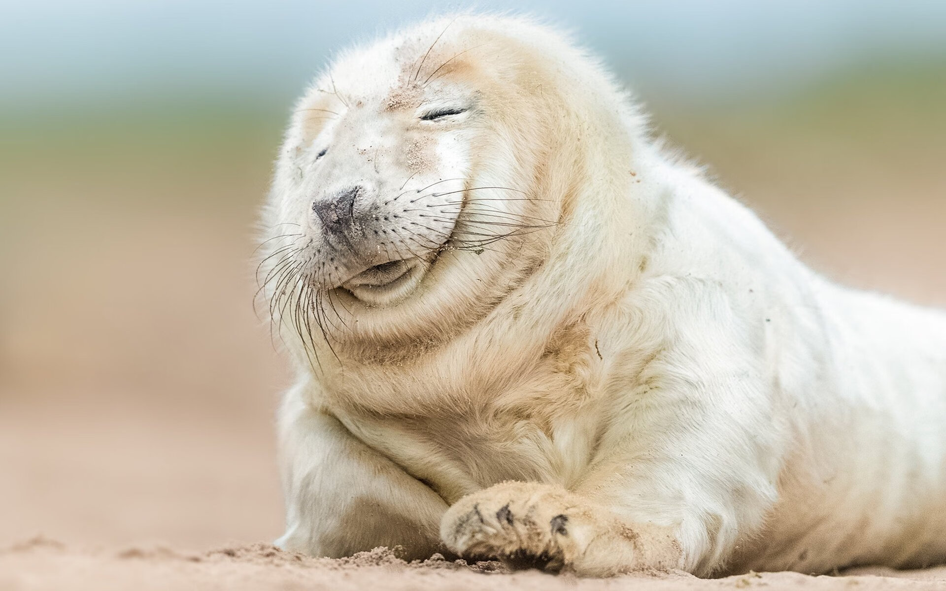 开云体育APP下载-FIFA面临球员健康风险投诉,赛程过于密集,fifa怎么解除球员