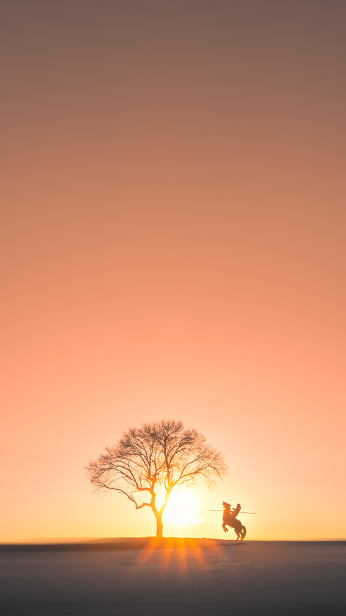 开云娱乐app安全登录-巴希尔·阿卜迪在马拉松比赛中获得银牌，巴希尔阿布迪