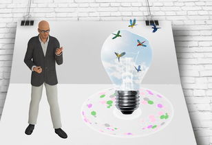 开云体育娱乐app安全-中国篮球职业俱乐部财务风险管理研究,篮球俱乐部财务制度