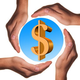 开云体育下载-体育教学中增强现实与虚拟现实融合应用，结合教学实践谈谈示范在体育教学中的运用