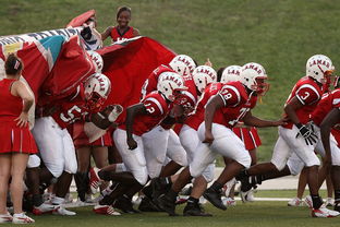 kaiyun-全国城际定向越野赛青少年组吸引众多参赛者，全国定向越野锦标赛